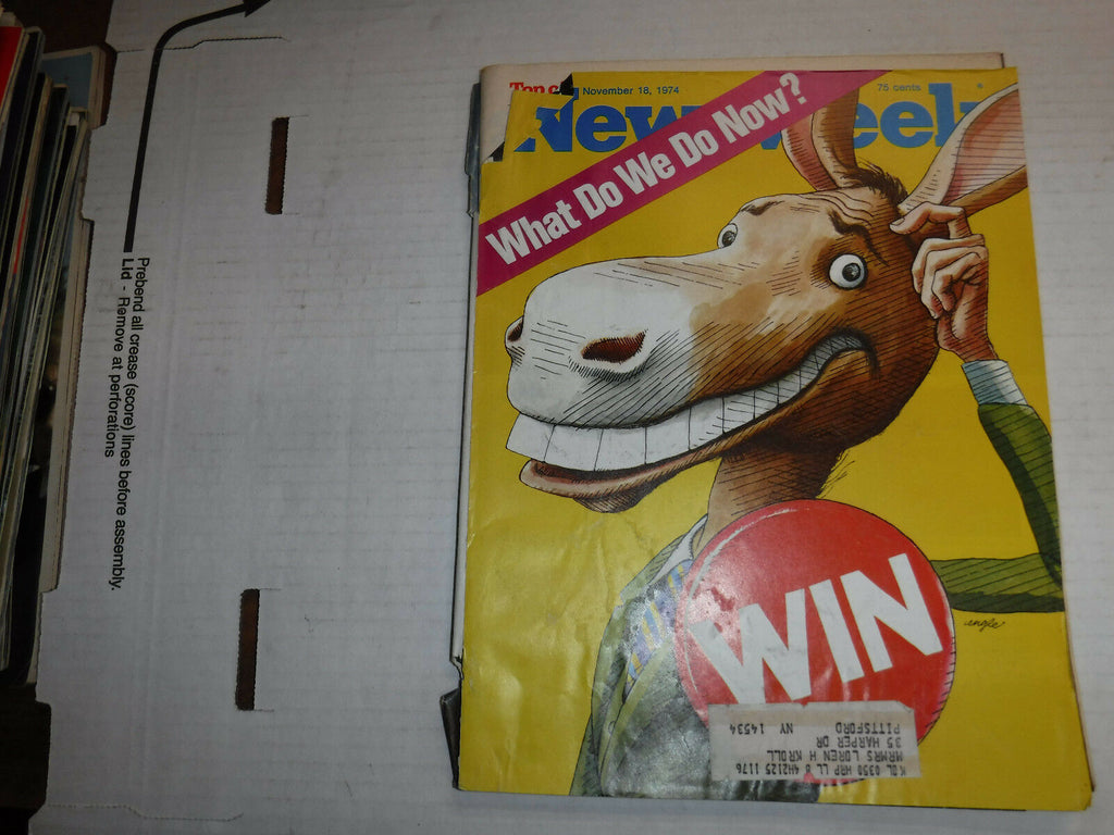Newsweek Magazine What Do We Do Now November 18, 1974 100316R