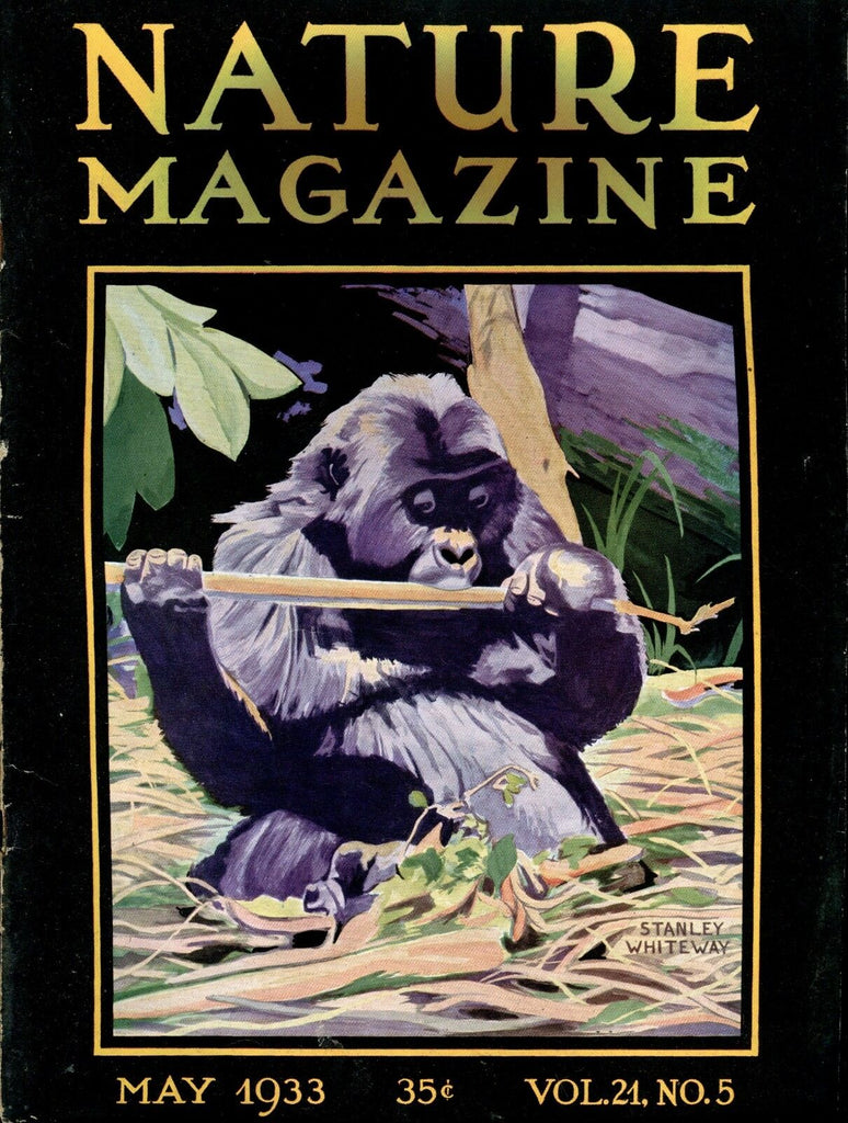 Nature Magazine May 1933 Gorilla VG No ML 020817jhe