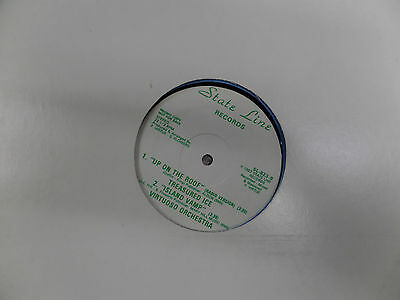 Treasured Ice and Virtuoso Orchestra PROMO 33RPM EX 120415 TLJ