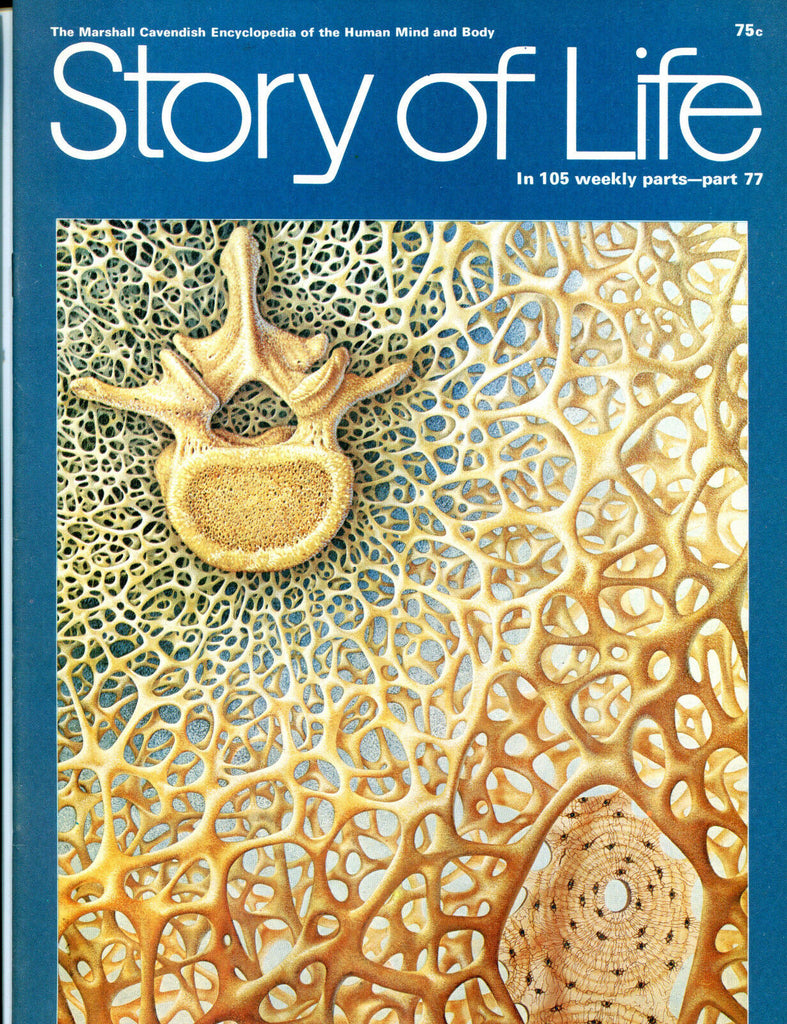 Story Of Life Magazine Part 77 1970 EX 051616jhe