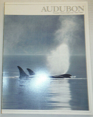 Audubon Magazne Two Weeks In Polar Bear Prison November 1981 012815R