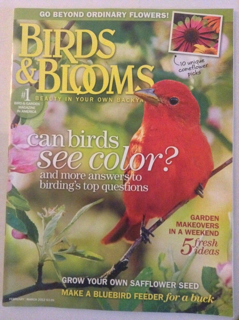 Birds & Blooms Magazine Bluebird Feeder DIY Feb/Mar 2012 041119nonrh