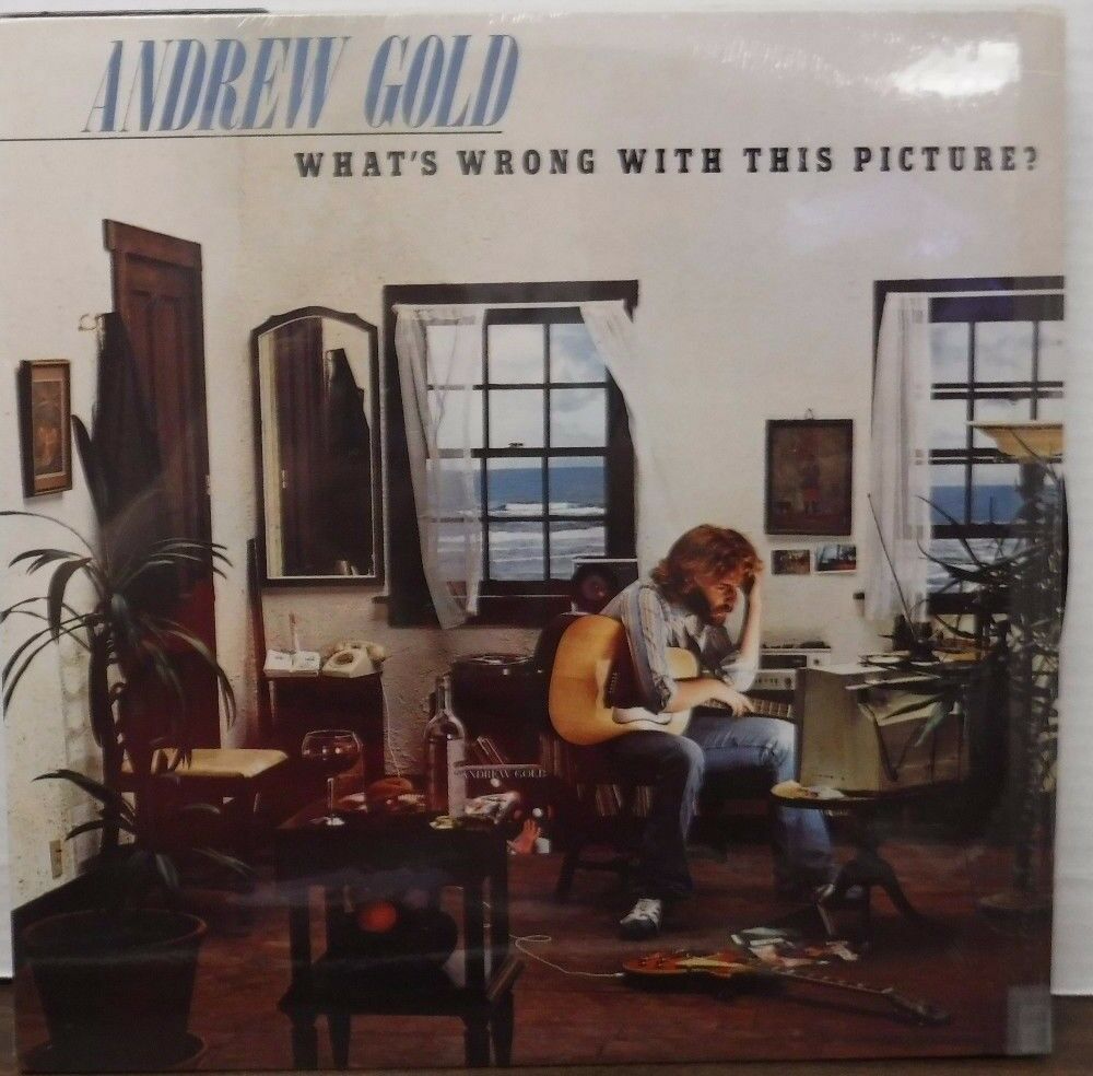 Andrew Gold What's wrong with this Picture 33RPM 7E-1086 121716LLE
