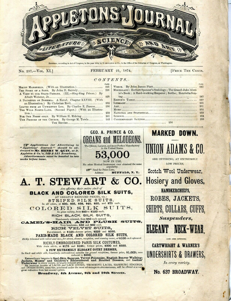 Appletons' Journal February 21 1874 Mount Mansfield GD 101716jhe