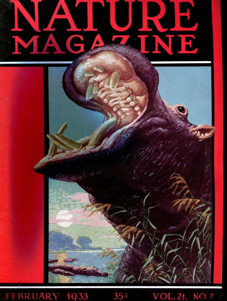 Nature Magazine February 1933 Hippopotamus VG No ML 020817jhe