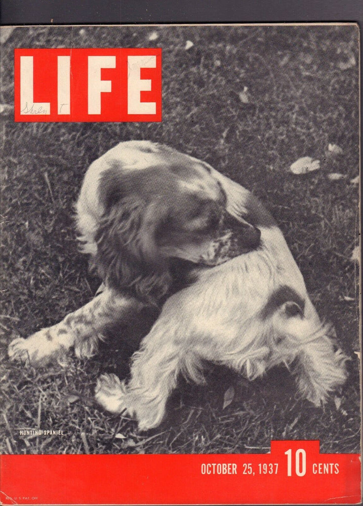 Life October 25 1937 Hunting Spaniel VG 092916DBE2