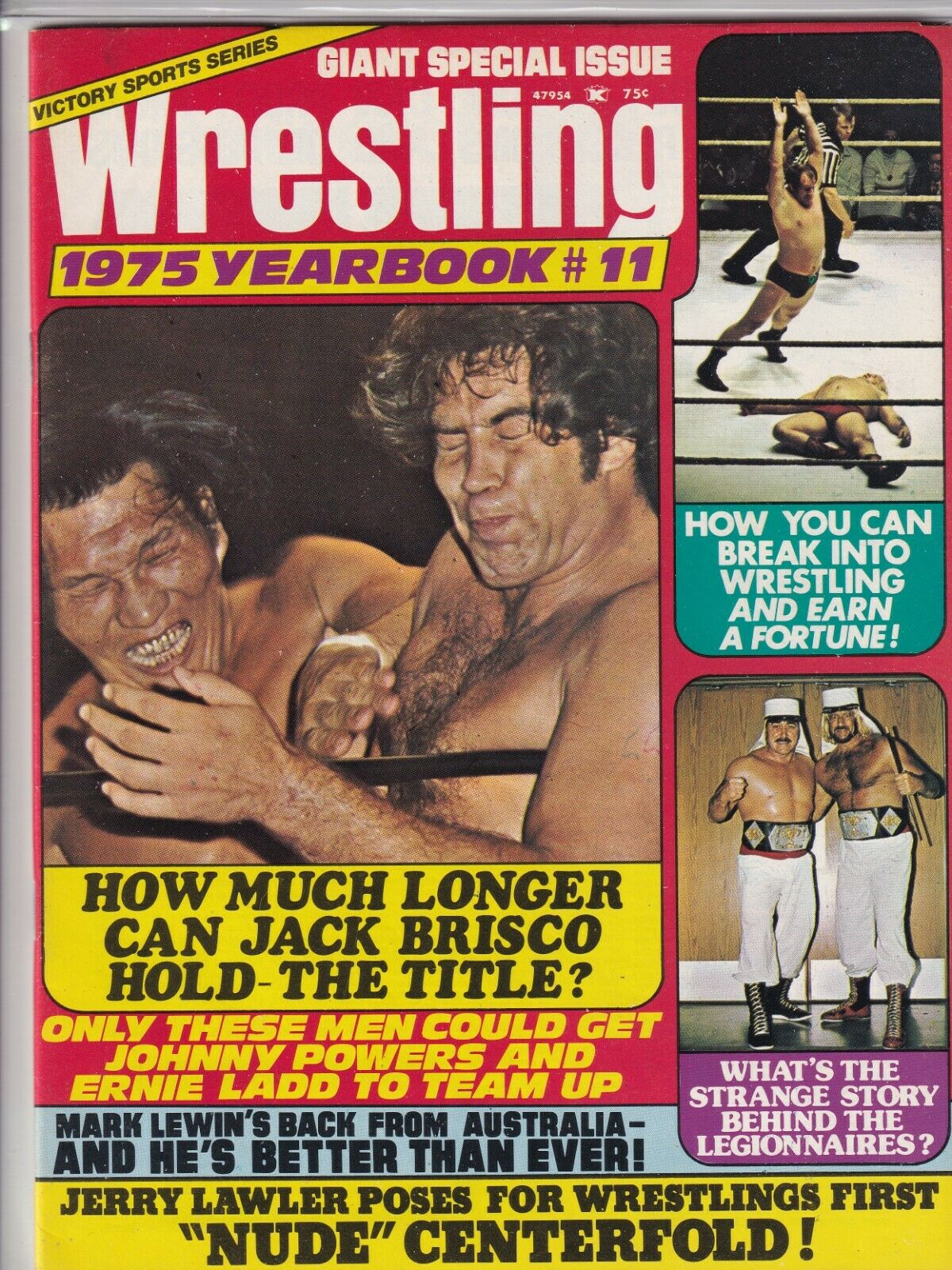 Wrestling Yearbook Jack Brisco Mark Lewin 1975 #11 061419nonr –  mr-magazine-hobby