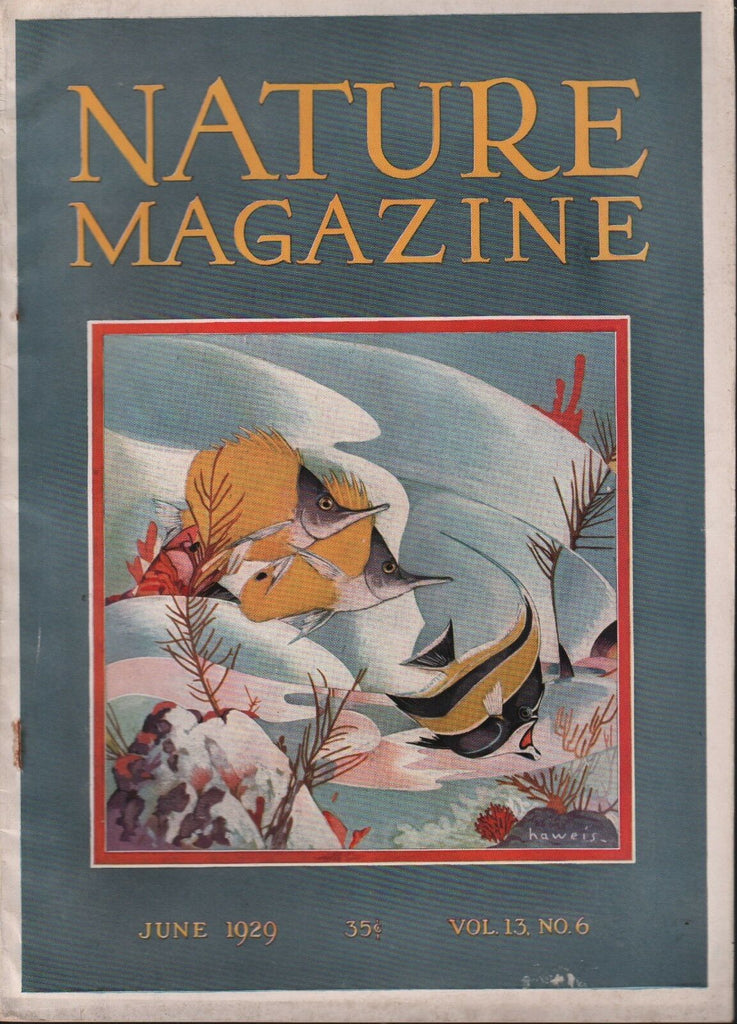 Nature Magazine June 1929 Vol 13 #6 Haweis 101518ame3