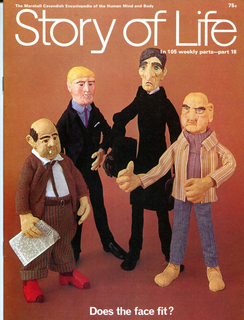 Story Of Life Magazine Part 18 1970 Does The Face Fit? EX 051616jhe