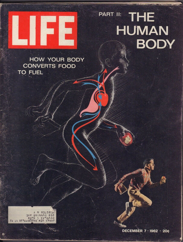 Life December 7 1962 Pt.2 The Human Body w/ML Gd 100416DBE