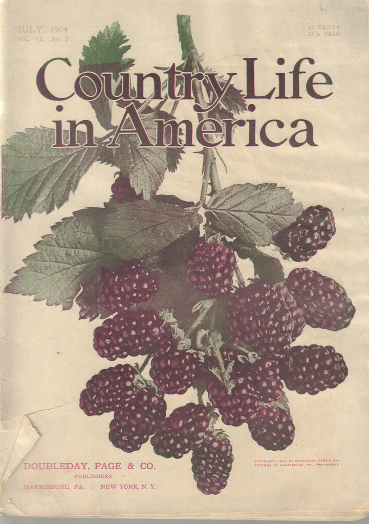 Country Life In America Jule 1904 Vintage Ads J Horace McFarland Cover 032520DBE