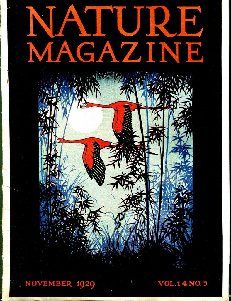 Nature Magazine November 1929 VG No ML 020917jhe