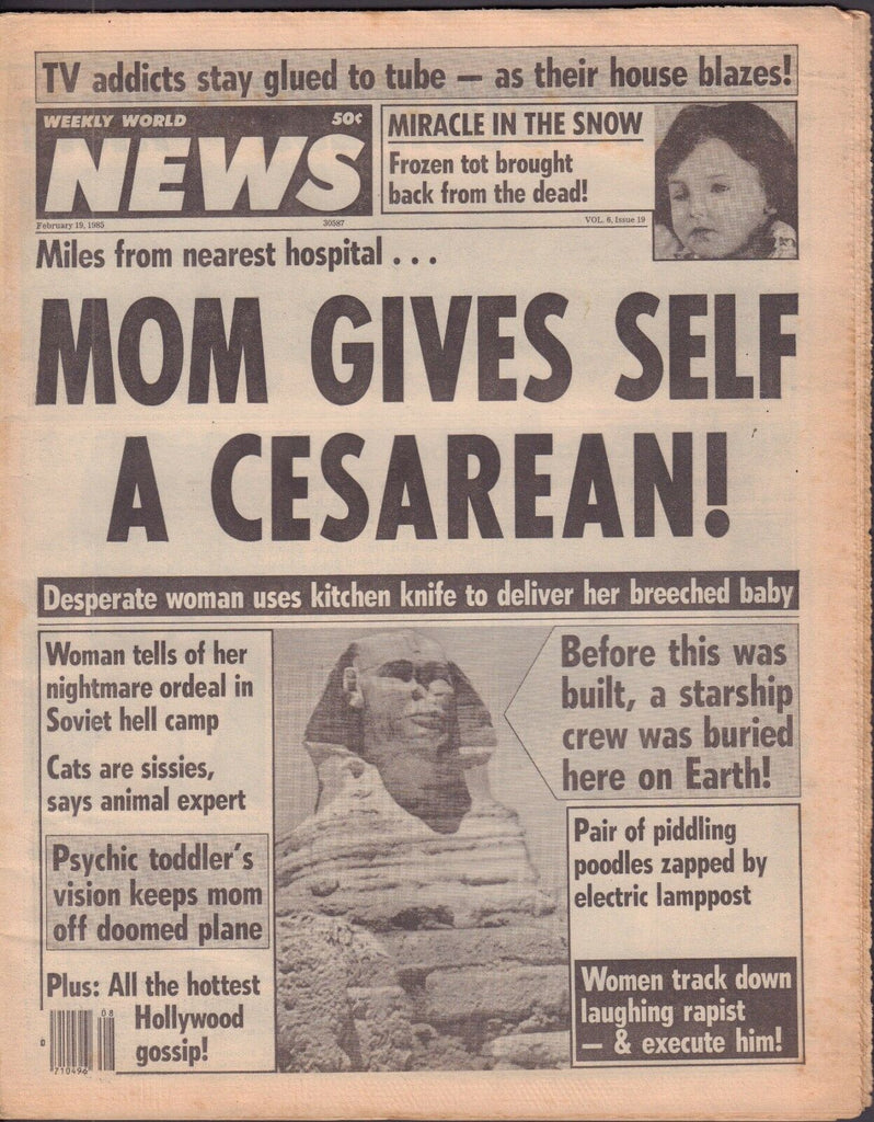 Weekly World News February 19 1985 Soviet Hell Camp, Cats are Sissies 092117DBE