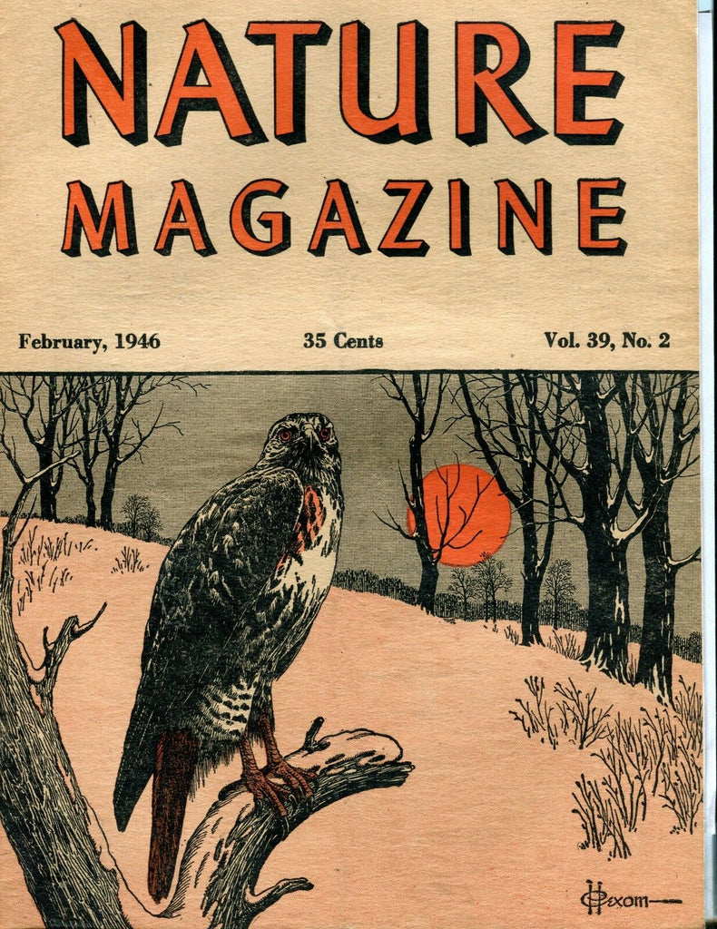 Nature Magazine February 1946 Hawk EX ML On Back 011617jhe