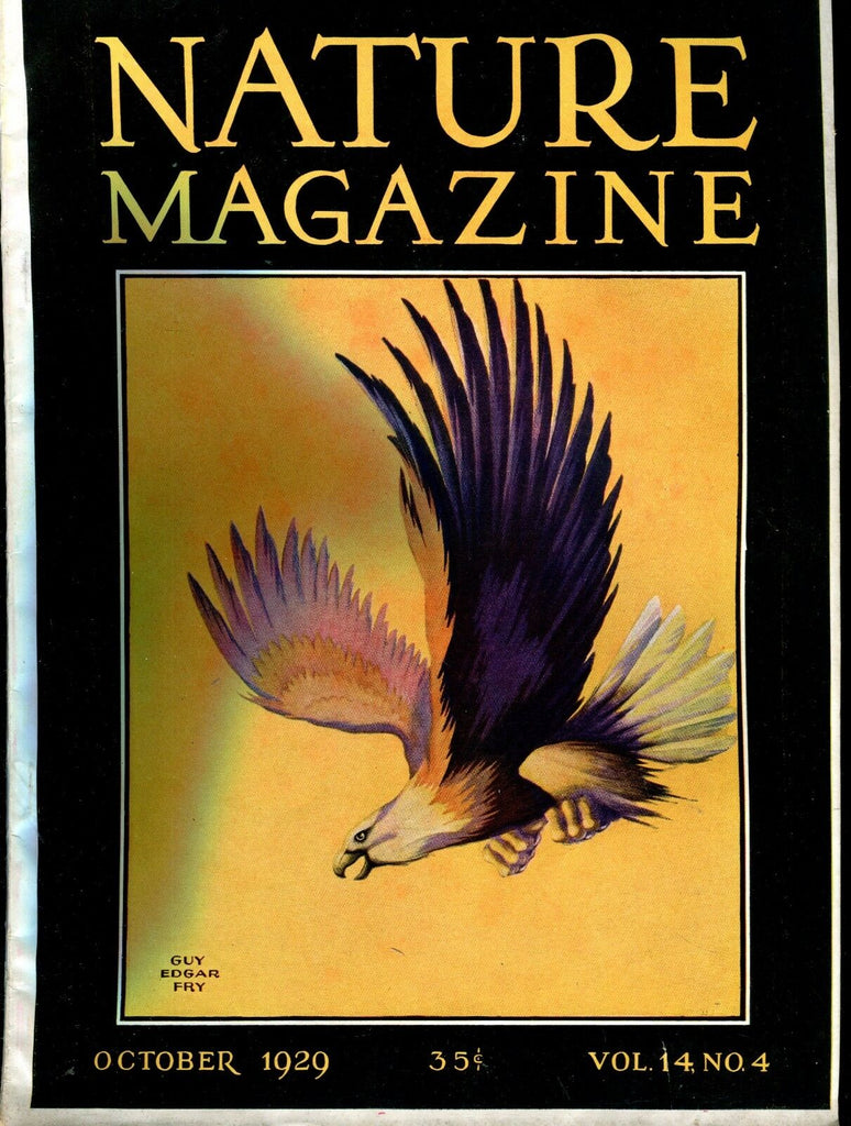 Nature Magazine October 1929 Eagle VG No ML 020817jhe