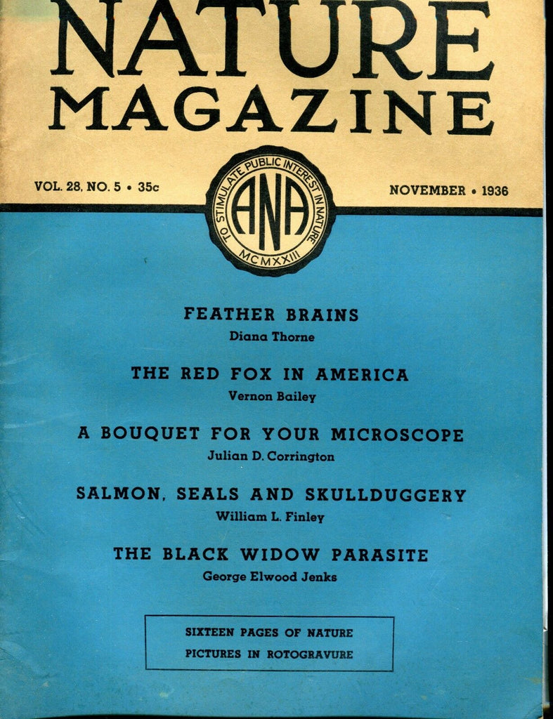 Nature Magazine November 1936 Feather Brains VG No ML 020817jhe