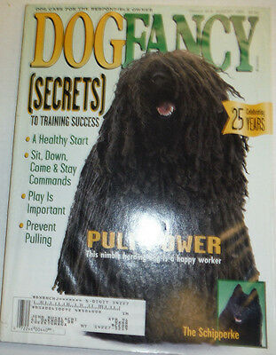 Dog Fancy Magazine The Schipperke & A Healthy Start August 1995 050815R
