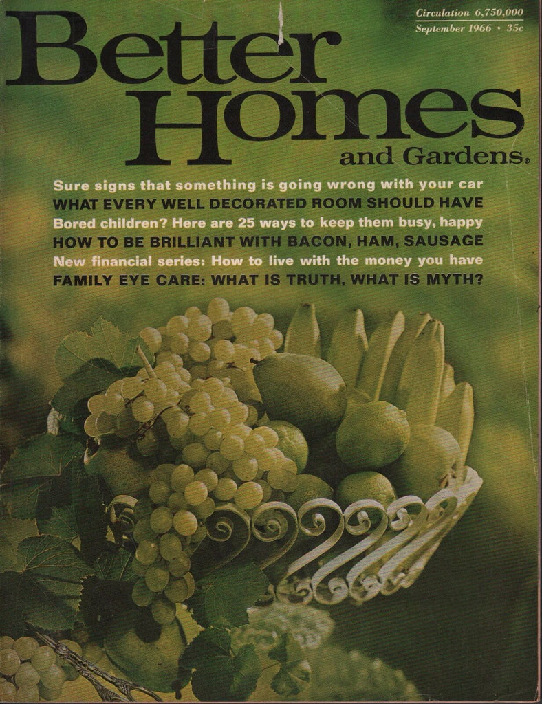 Better Homes And Gardens September 1966 Family Eye Care 072617nonDBE2