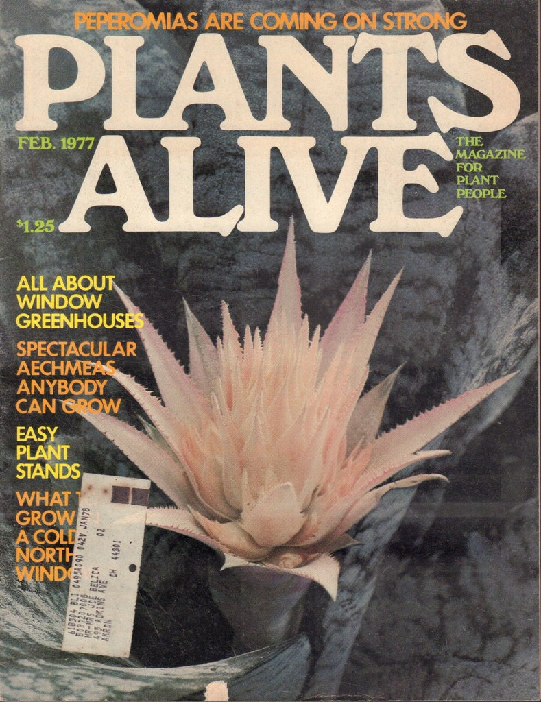 Plants Alive February 1977 Aechmea Fasciata w/ML 100517DBE2