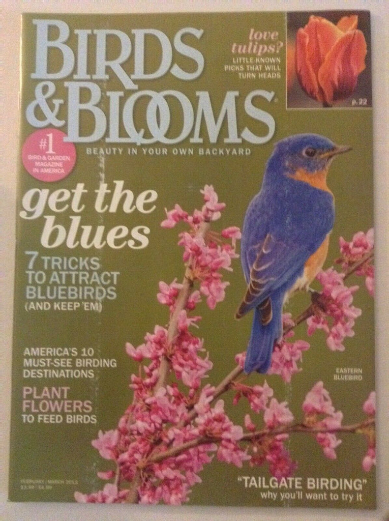 Birds & Blooms Magazine Tricks To Attract Bluebirds Feb/Mar 2013 041119nonrh