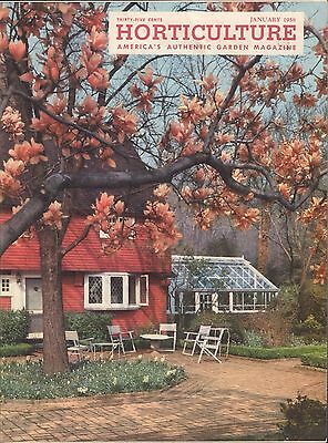 Horticulture January 1958 Spring Garden VG 053116DBE