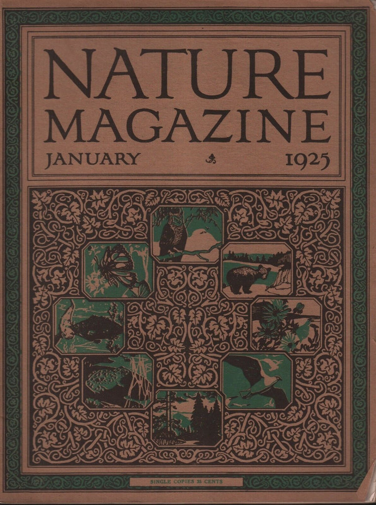 Nature Magazine January 1925 Bruce Horsfall 101518ame3