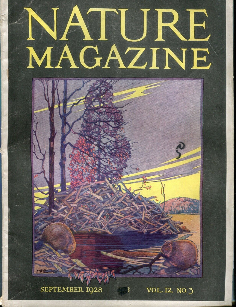 Nature Magazine September 1928 Beavers VG No ML 020917jhe