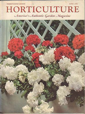 Horticulture June 1958 Petunias w/ML VG 053116DBE