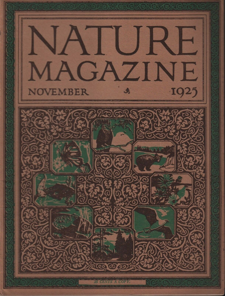 Nature Magazine November 1925 Charles Wharton Stork 101518ame3