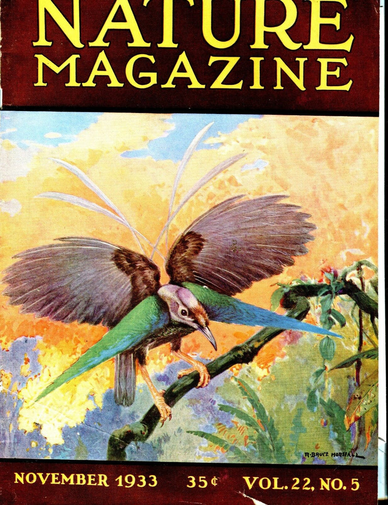 Nature Magazine November 1933 VG No ML 020917jhe