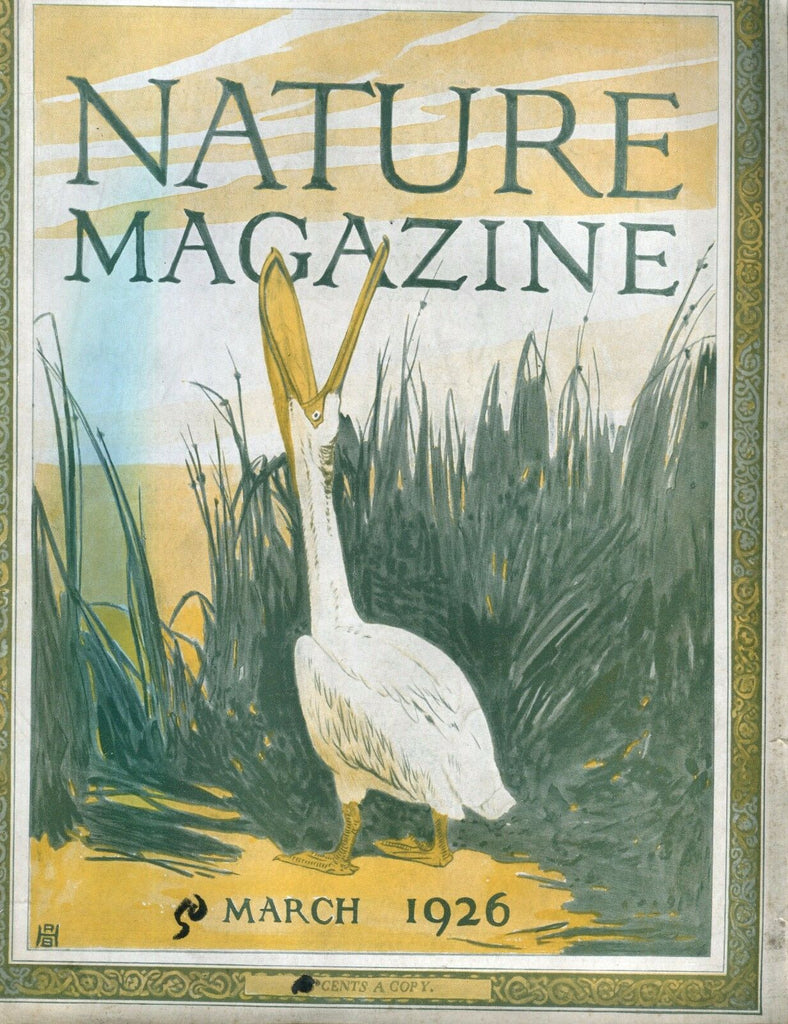Nature Magazine March 1926 VG No ML 020917jhe