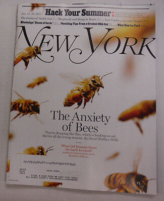 New York Magazine The Anxiety Of Bees June 2015 062215R