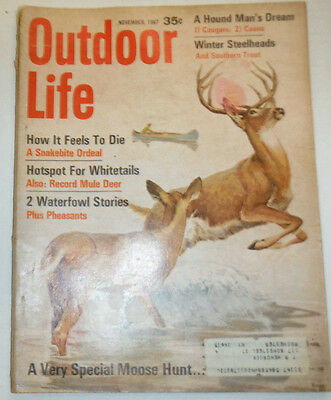 Outdoor Life Magazine A Very Special Moose Hunt November 1967 012915R