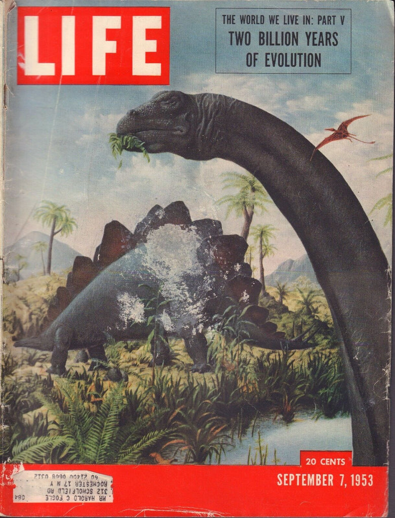 Life Magazine September 7 1953 Two Billion Years of Evolution w/ML 081417nonDBE