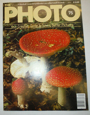 The Photo Marshall Cavendish Magazine Color Mosaics No.75 033115R