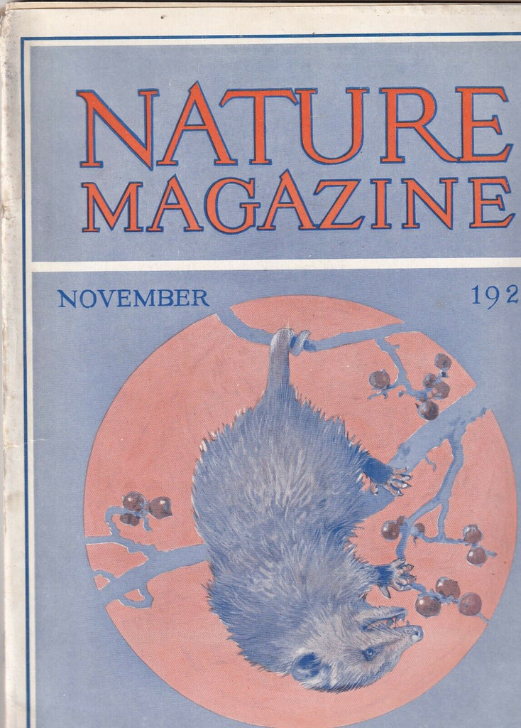 Nature Magazine Our Dominican Zoo November 1926 081419nonr