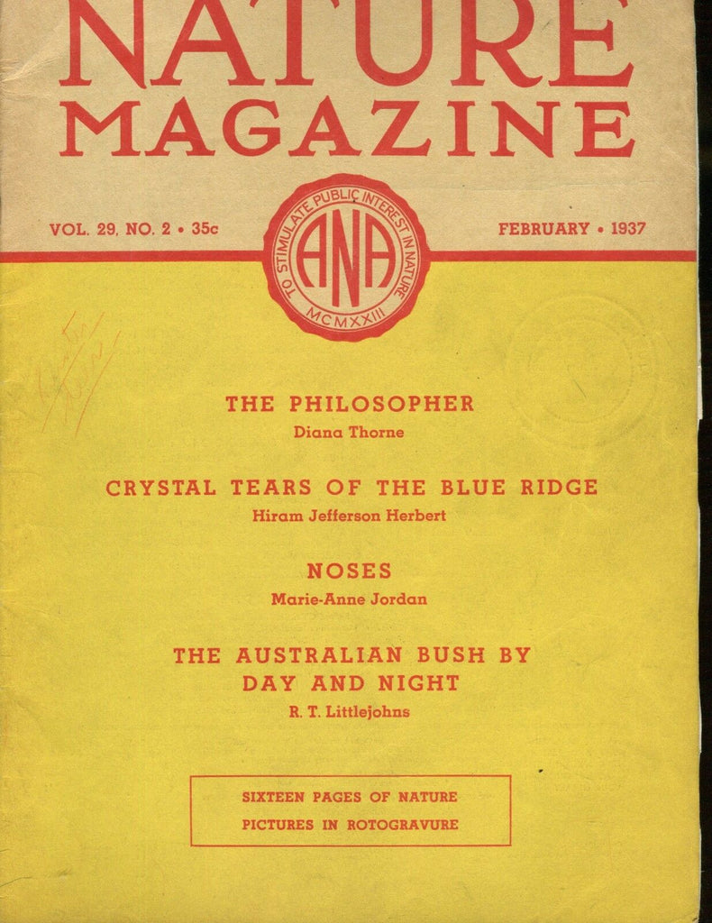 Nature Magazine February 1937 Australian Bush VG No ML 020617jhe