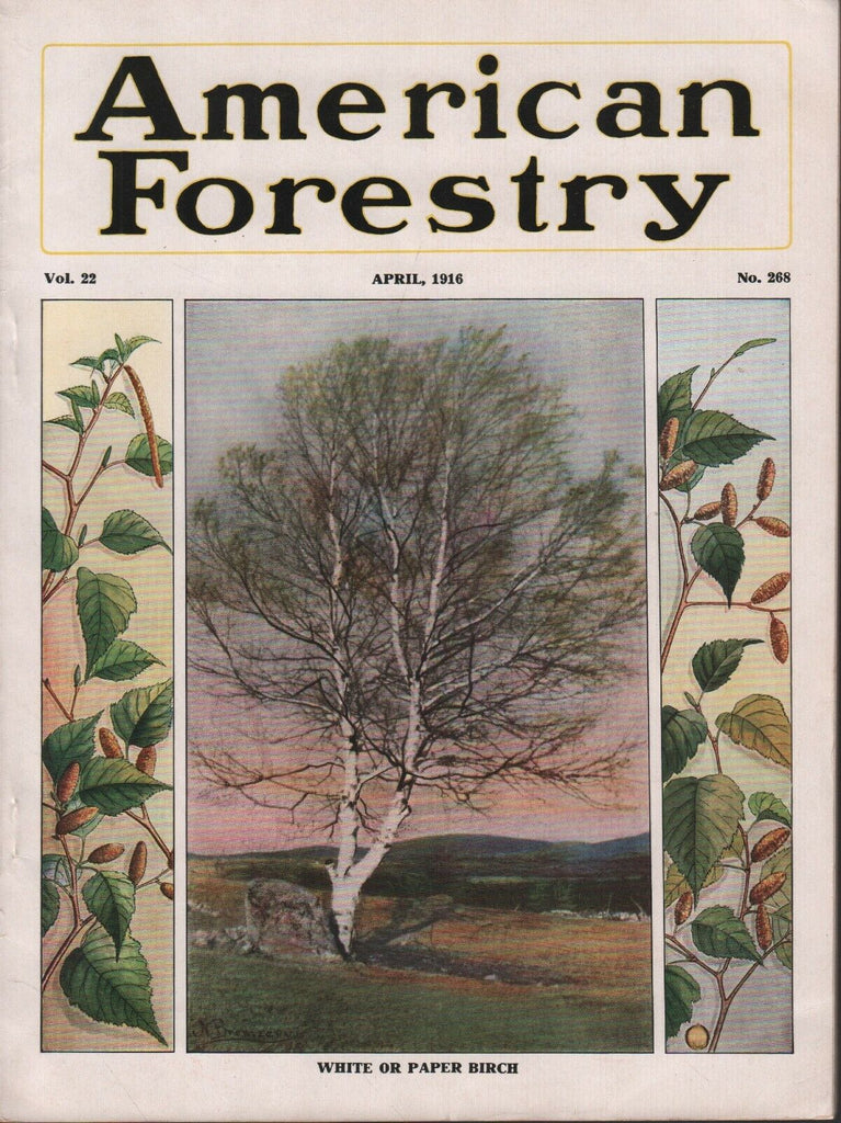 American Forestry April 1916 V.M. Akers John Rhodes Elwood Wilson 081518DBE3