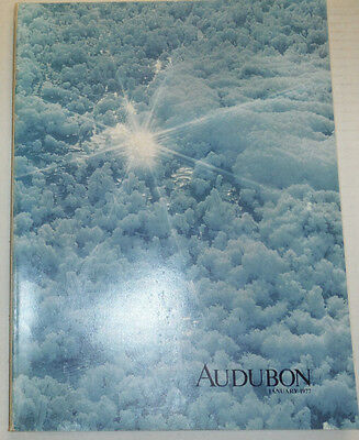 Audubon Magazine Native Fish In Troubled Waters January 1977 012815R