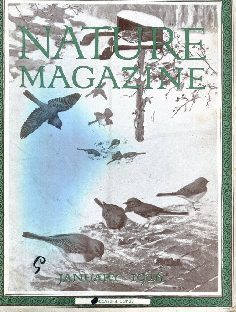 Nature Magazine January 1926 Birds GD No ML 020817jhe