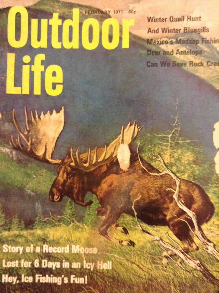 Outdoor Life Magazine Winter Quail Hunt February 1971 010418nonrh