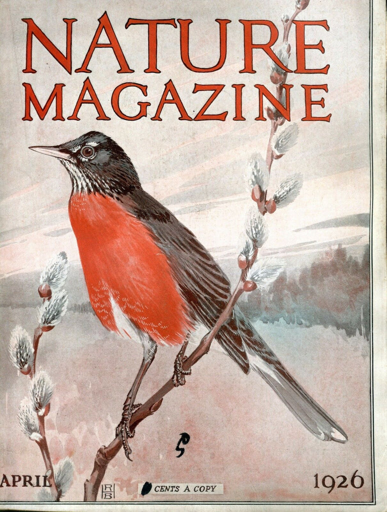Nature Magazine April 1926 Bird VG No ML 020617jhe