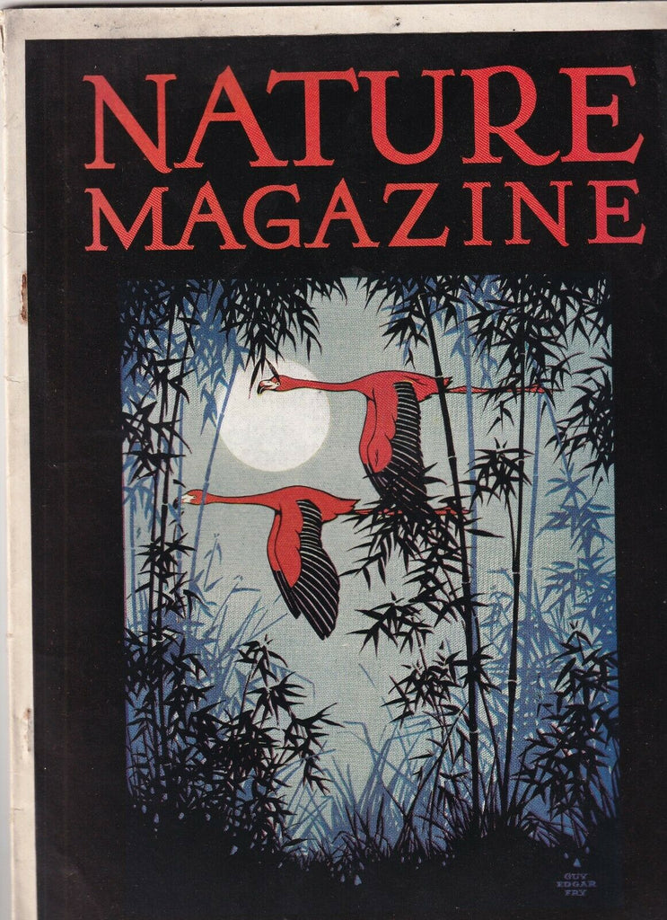 Nature Magazine The Eternal Rainbow November 1929 081419nonr