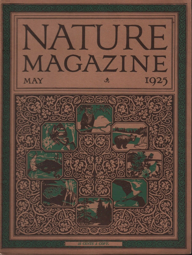 Nature Magazine May 1925 Bruce Horsfall 101518ame3