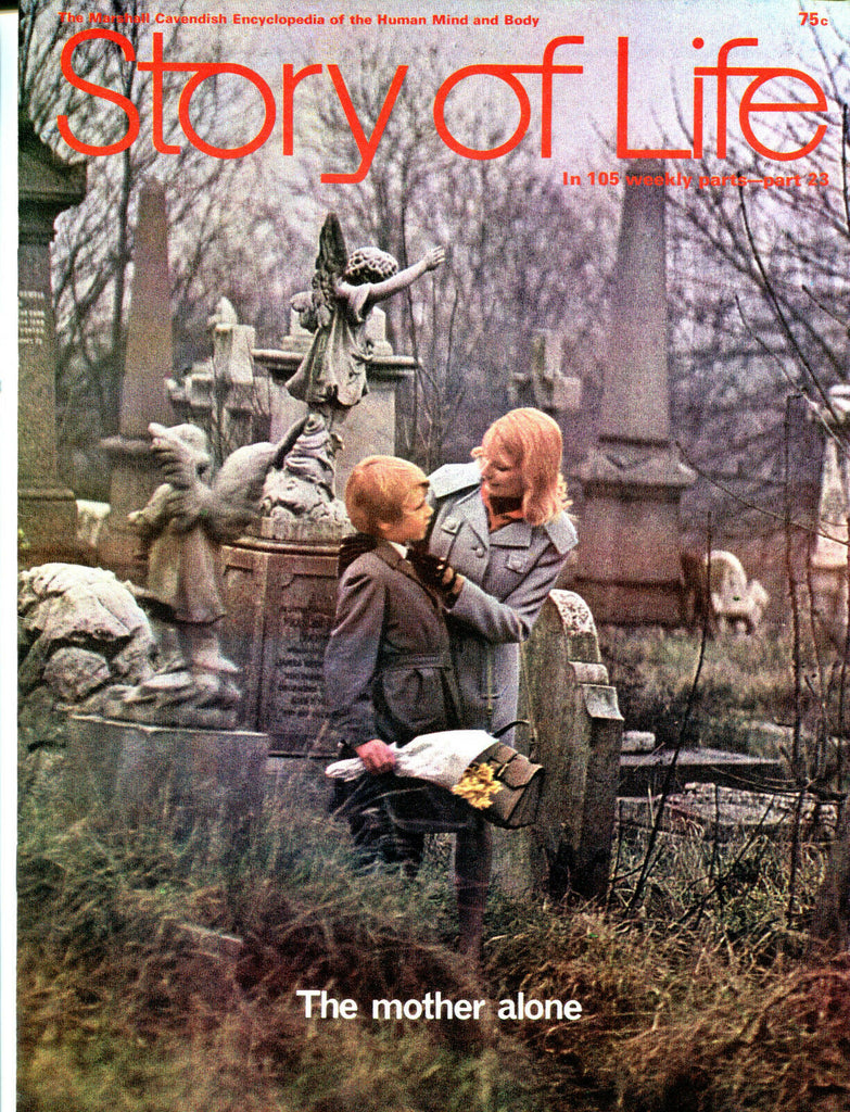 Story Of Life Magazine Part 23 1970 The Mother Alone EX 051616jhe