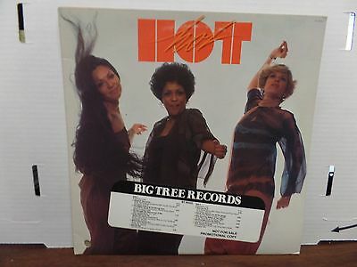 HOT Big Tree Records BT-89522 33rpm 081116DBE