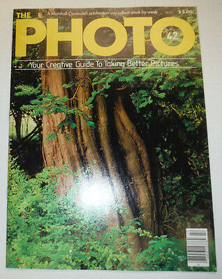 The Photo Marshall Cavendish Magazine Making Paper Negatives No.42 033115R