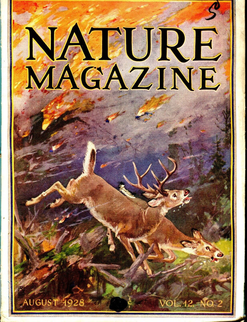 Nature Magazine August 1928 Deer VG No ML 020917jhe