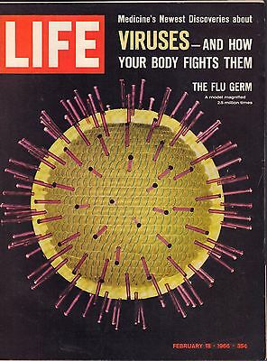Life Magazine February 18 1966 Birthday Viruses VG 060716DBE2