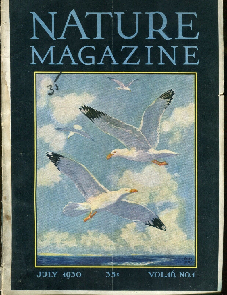 Nature Magazine July 1930 Seagulls VG No ML 020617jhe
